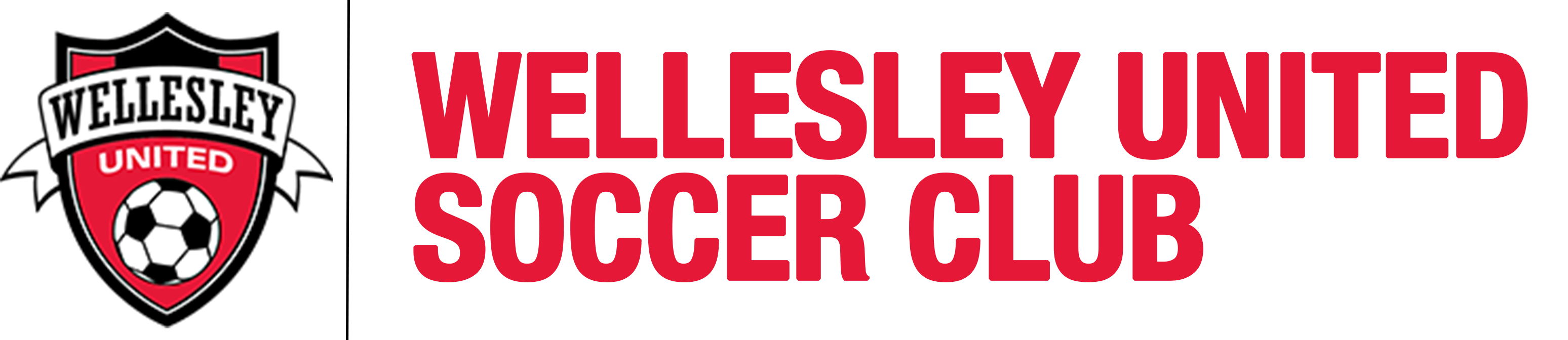 Wellesley United Soccer Club